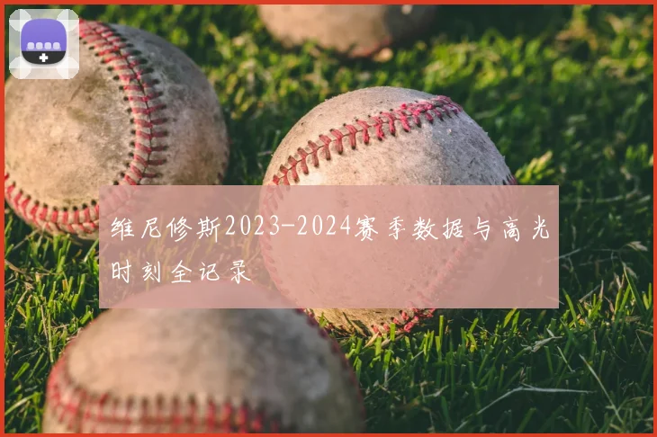 维尼修斯2023-2024赛季数据与高光时刻全记录