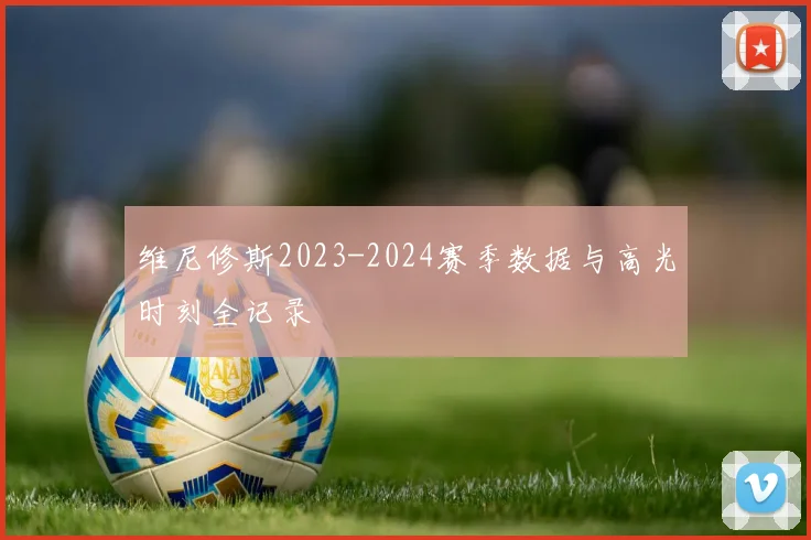 维尼修斯2023-2024赛季数据与高光时刻全记录